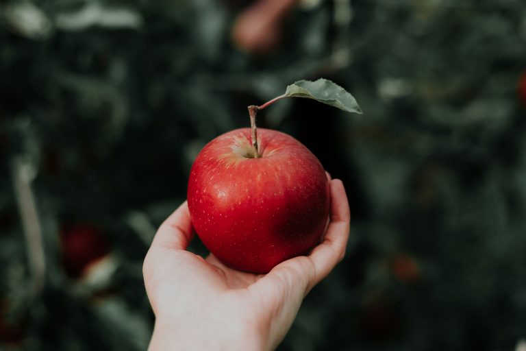 Eine Hand hält einen Apfel. Foto von Priscilla Du Preez 🇨🇦 auf Unsplash.